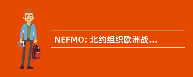 NEFMO: 北约组织欧洲战斗机开发、 生产、 物流管理组织