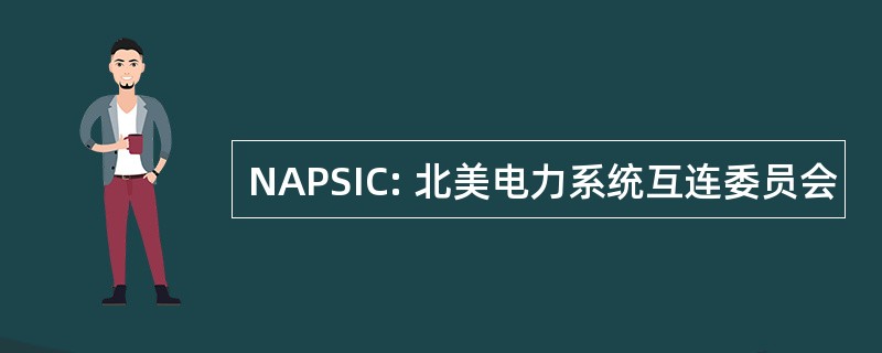 NAPSIC: 北美电力系统互连委员会