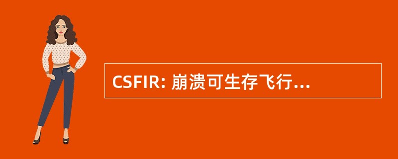 CSFIR: 崩溃可生存飞行仪表记录仪