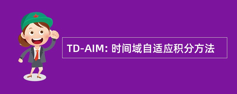 TD-AIM: 时间域自适应积分方法