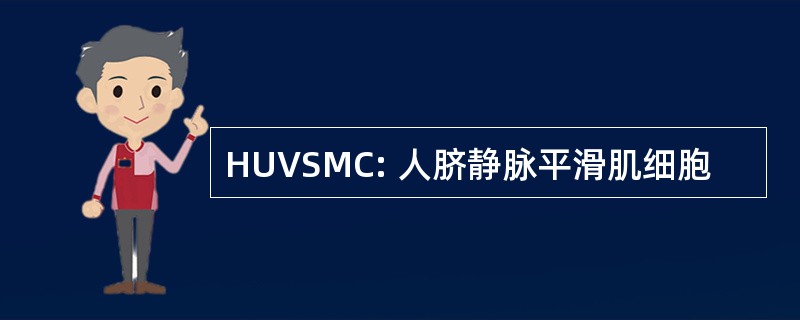 HUVSMC: 人脐静脉平滑肌细胞