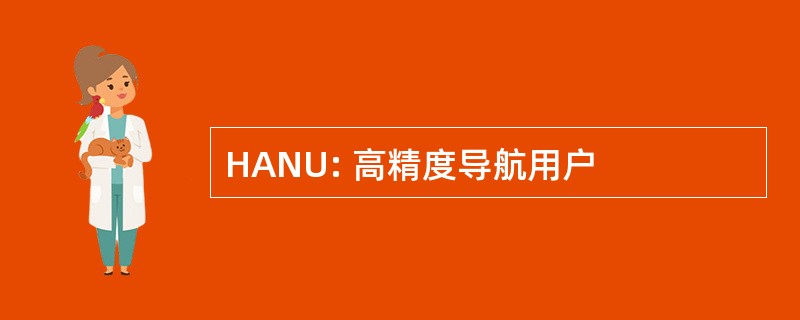 HANU: 高精度导航用户