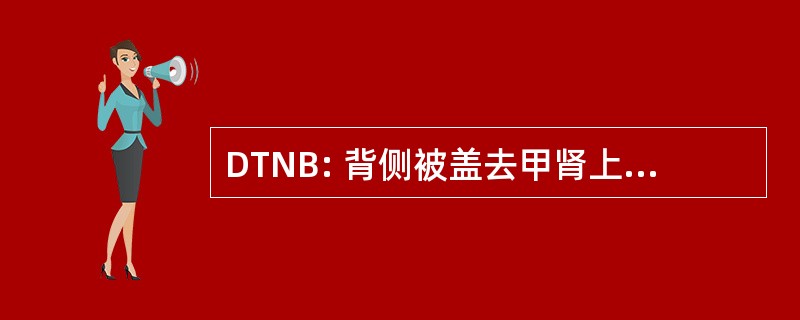 DTNB: 背侧被盖去甲肾上腺素能束