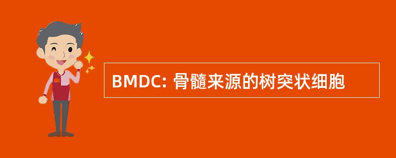 BMDC: 骨髓来源的树突状细胞