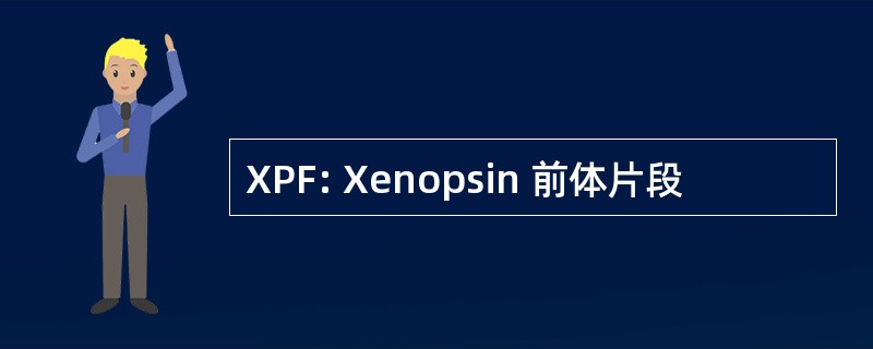 XPF: Xenopsin 前体片段