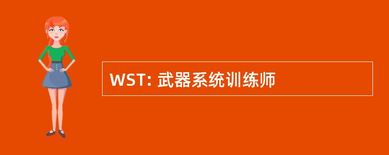 WST: 武器系统训练师