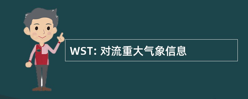 WST: 对流重大气象信息