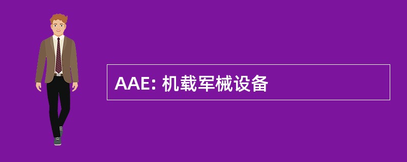 AAE: 机载军械设备