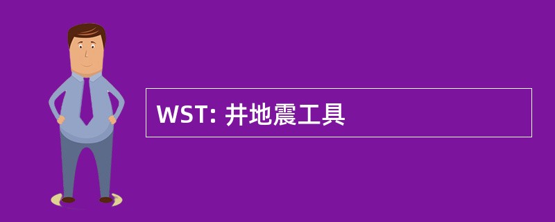 WST: 井地震工具