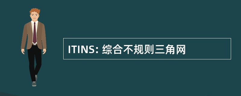 ITINS: 综合不规则三角网