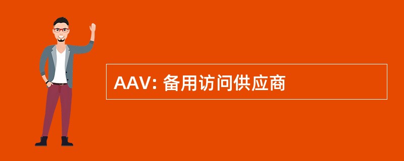 AAV: 备用访问供应商