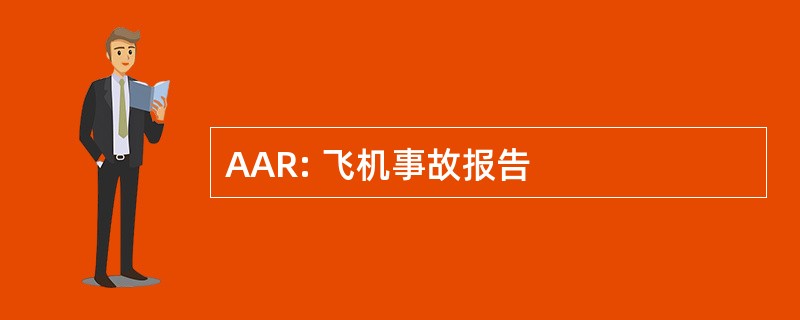 AAR: 飞机事故报告