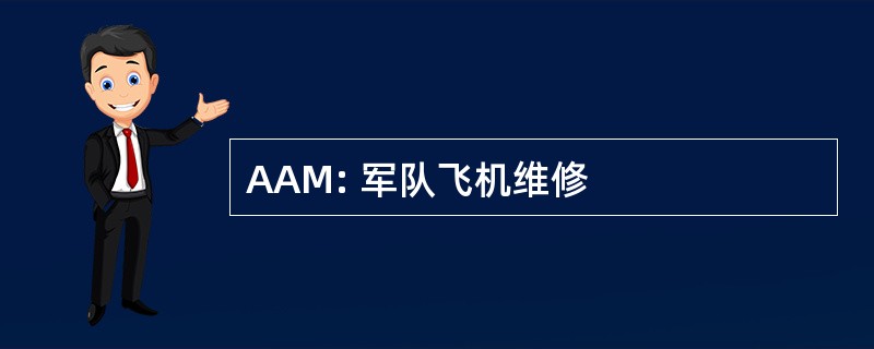 AAM: 军队飞机维修