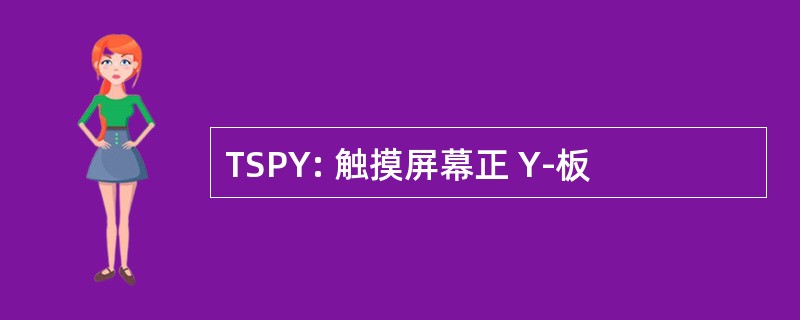 TSPY: 触摸屏幕正 Y-板