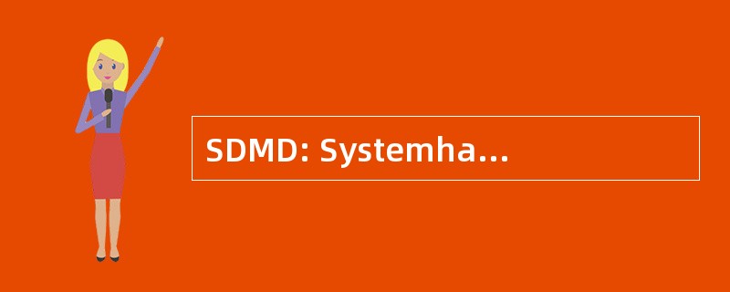 SDMD: Systemhaus Digitale 视域设计师 GmbH