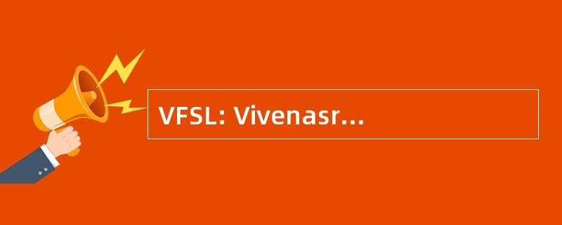 VFSL: Vivenasri 金融服务有限公司