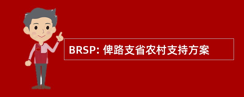 BRSP: 俾路支省农村支持方案