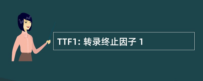 TTF1: 转录终止因子 1