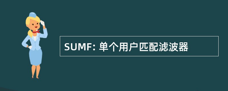 SUMF: 单个用户匹配滤波器