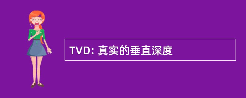 TVD: 真实的垂直深度