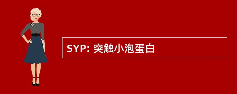 SYP: 突触小泡蛋白