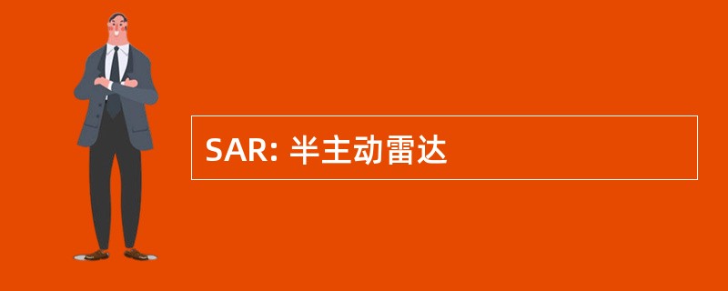 SAR: 半主动雷达