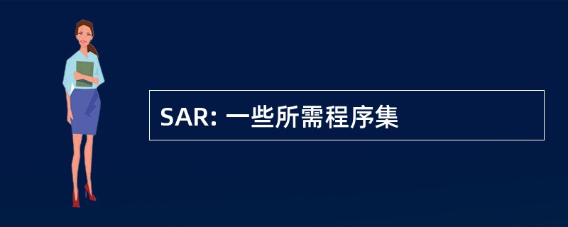 SAR: 一些所需程序集