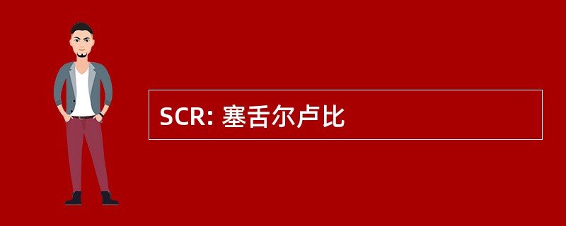 SCR: 塞舌尔卢比