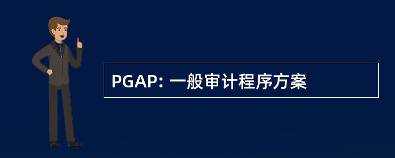 PGAP: 一般审计程序方案