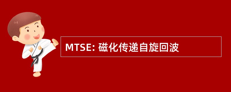 MTSE: 磁化传递自旋回波