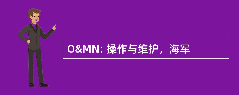 O&amp;MN: 操作与维护，海军