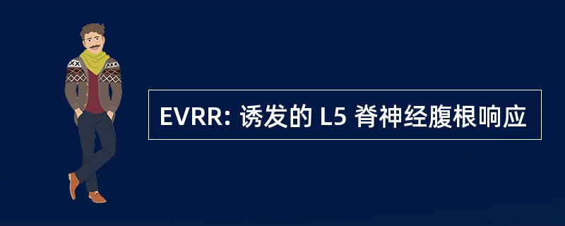 EVRR: 诱发的 L5 脊神经腹根响应