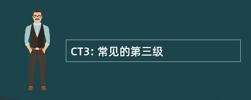 CT3: 常见的第三级