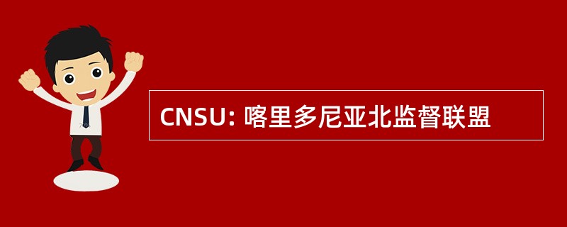 CNSU: 喀里多尼亚北监督联盟