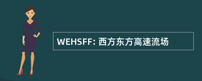 WEHSFF: 西方东方高速流场