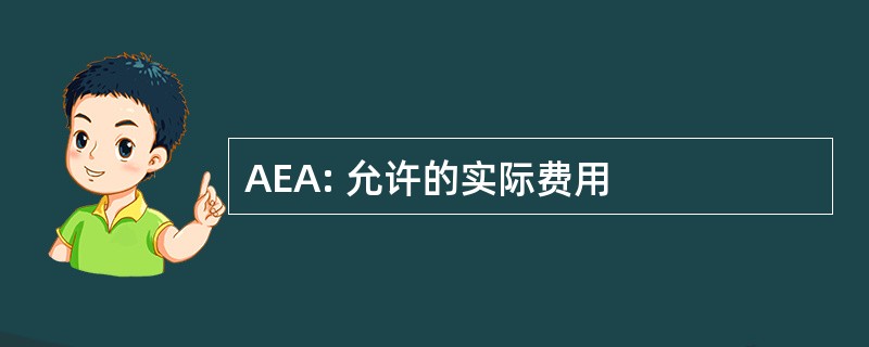 AEA: 允许的实际费用