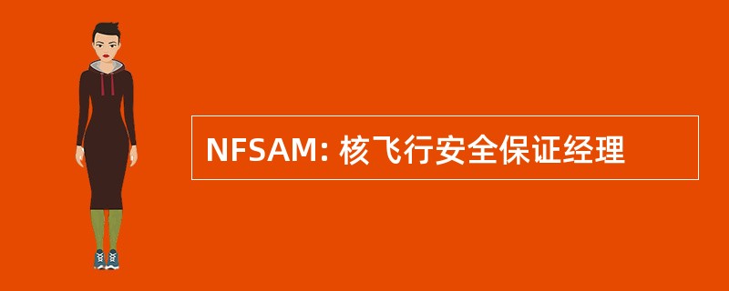 NFSAM: 核飞行安全保证经理