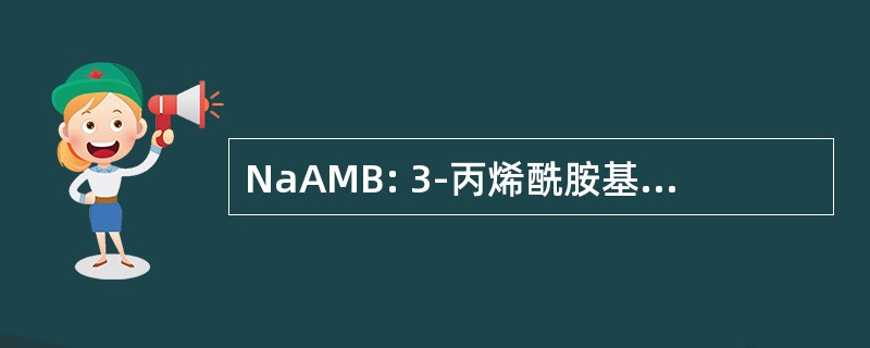 NaAMB: 3-丙烯酰胺基-3-甲基丁酸酯钠