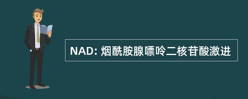 NAD: 烟酰胺腺嘌呤二核苷酸激进