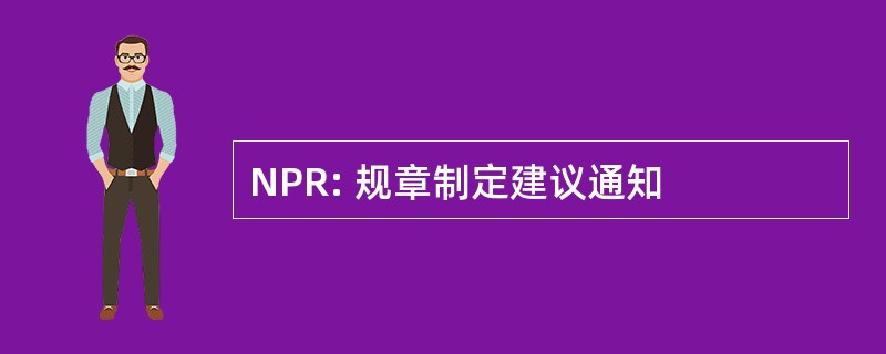 NPR: 规章制定建议通知