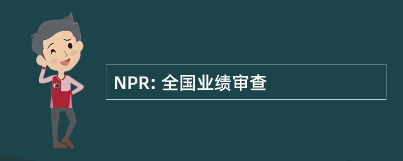 NPR: 全国业绩审查