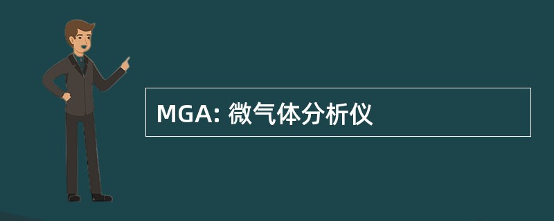 MGA: 微气体分析仪