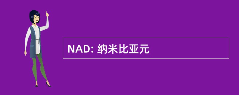 NAD: 纳米比亚元