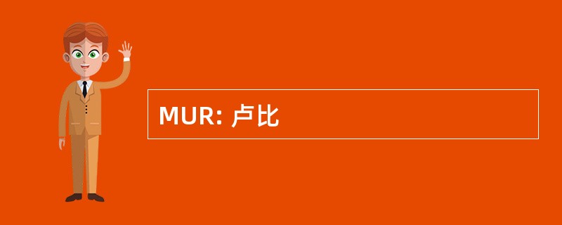 MUR: 卢比