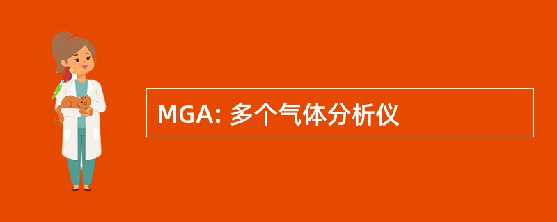 MGA: 多个气体分析仪