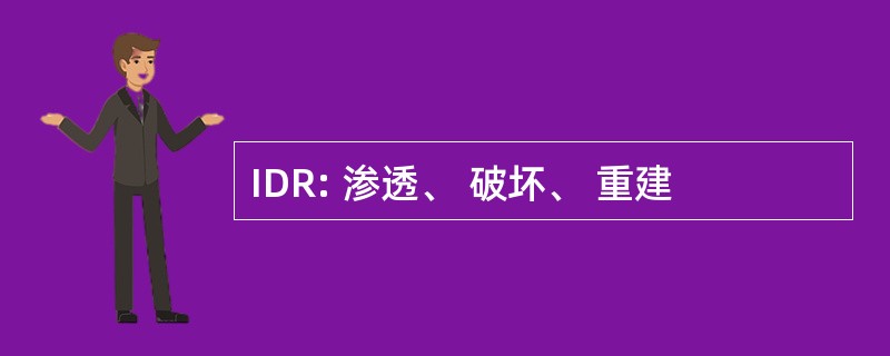 IDR: 渗透、 破坏、 重建