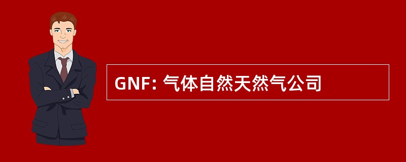 GNF: 气体自然天然气公司