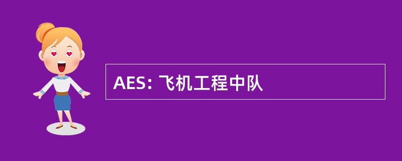 AES: 飞机工程中队