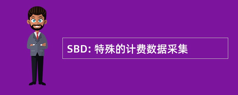 SBD: 特殊的计费数据采集