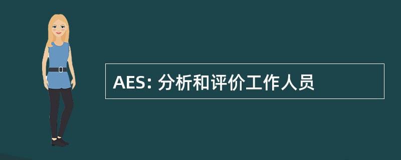 AES: 分析和评价工作人员